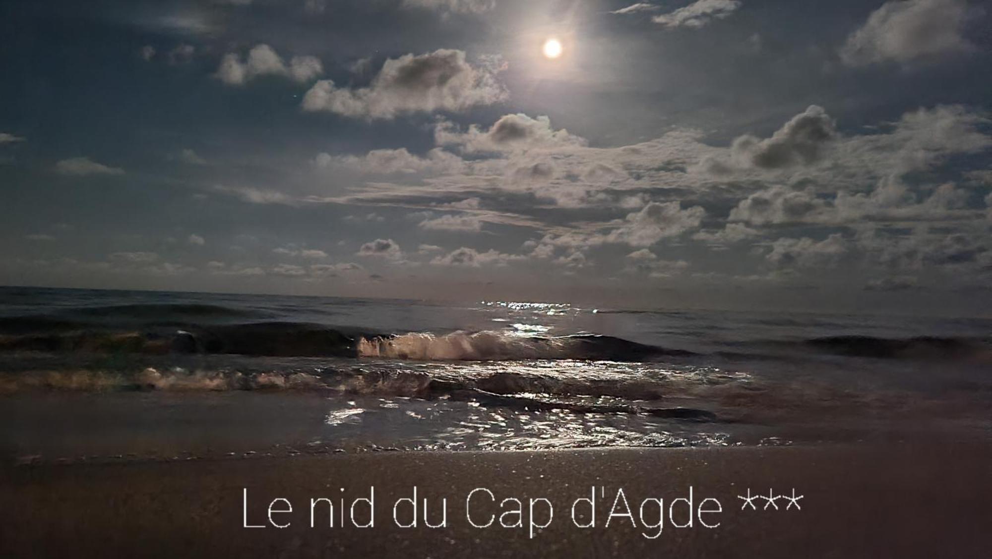Residence De Standing La Pecherie Spacieux T3 Comme Un Cocon Familial Vue Mer Et Sur L'Avant Port Sur Le Bout Du Bout De Cap D'Agde Seule Cap En Occitanie Екстериор снимка