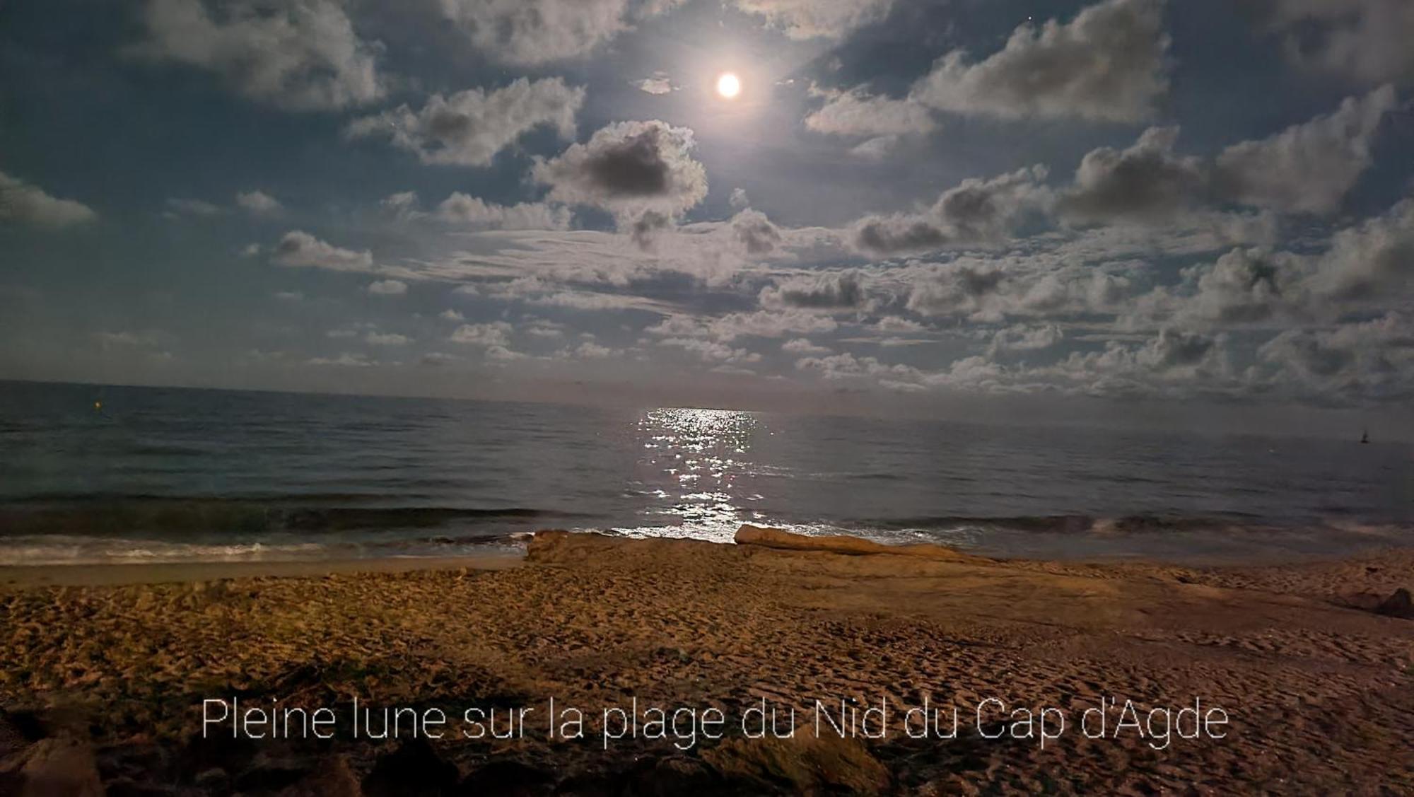 Residence De Standing La Pecherie Spacieux T3 Comme Un Cocon Familial Vue Mer Et Sur L'Avant Port Sur Le Bout Du Bout De Cap D'Agde Seule Cap En Occitanie Екстериор снимка