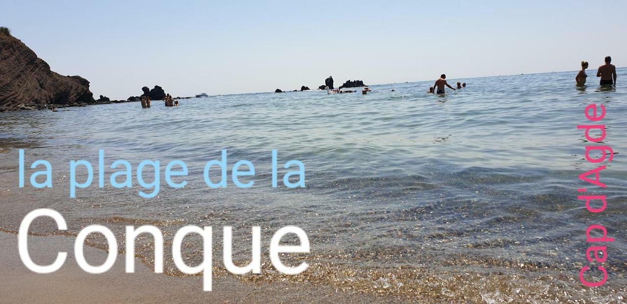 Residence De Standing La Pecherie Spacieux T3 Comme Un Cocon Familial Vue Mer Et Sur L'Avant Port Sur Le Bout Du Bout De Cap D'Agde Seule Cap En Occitanie Екстериор снимка